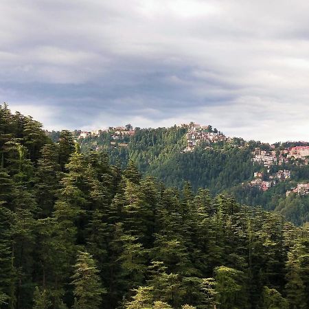 Neha Homestay Shimla Zewnętrze zdjęcie