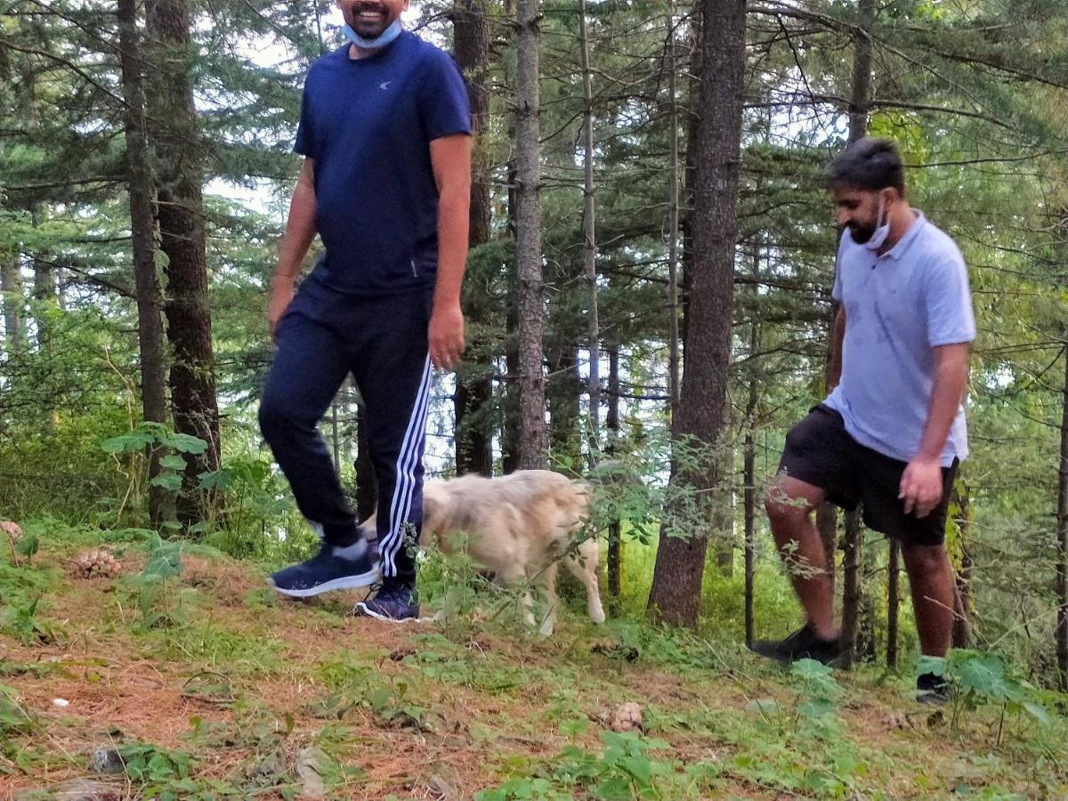 Neha Homestay Shimla Zewnętrze zdjęcie
