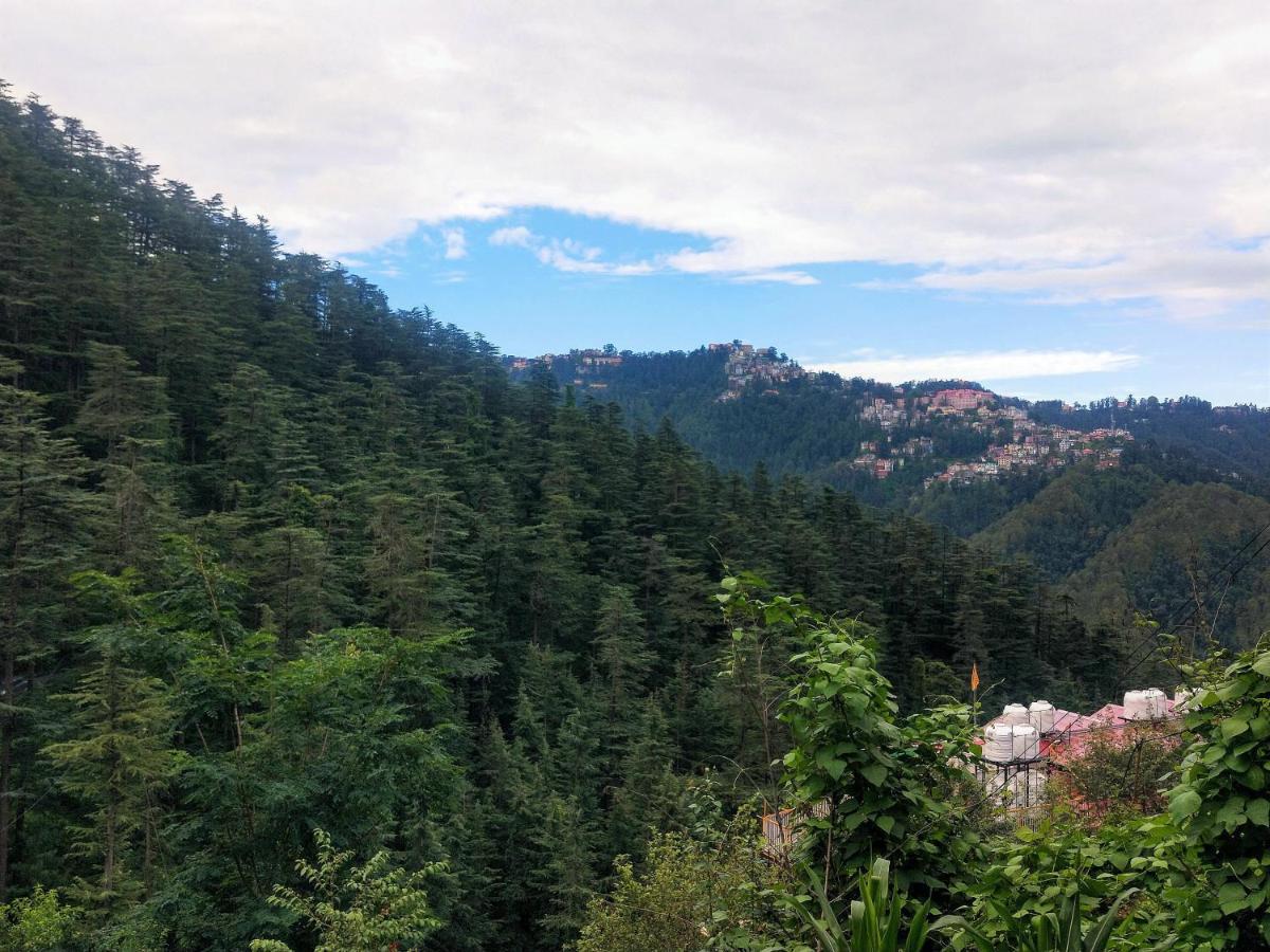 Neha Homestay Shimla Zewnętrze zdjęcie