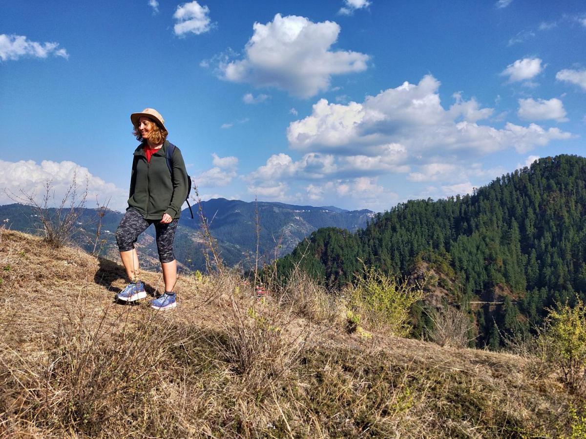 Neha Homestay Shimla Zewnętrze zdjęcie