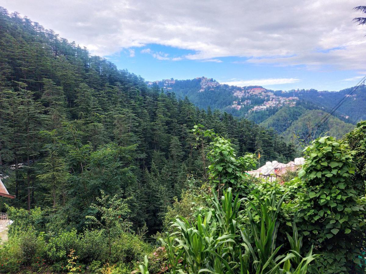 Neha Homestay Shimla Zewnętrze zdjęcie