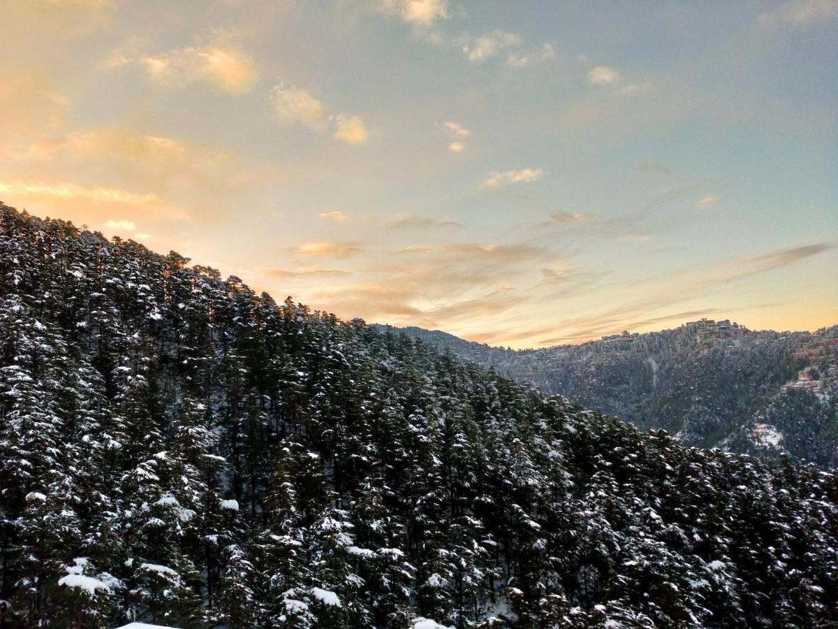 Neha Homestay Shimla Zewnętrze zdjęcie