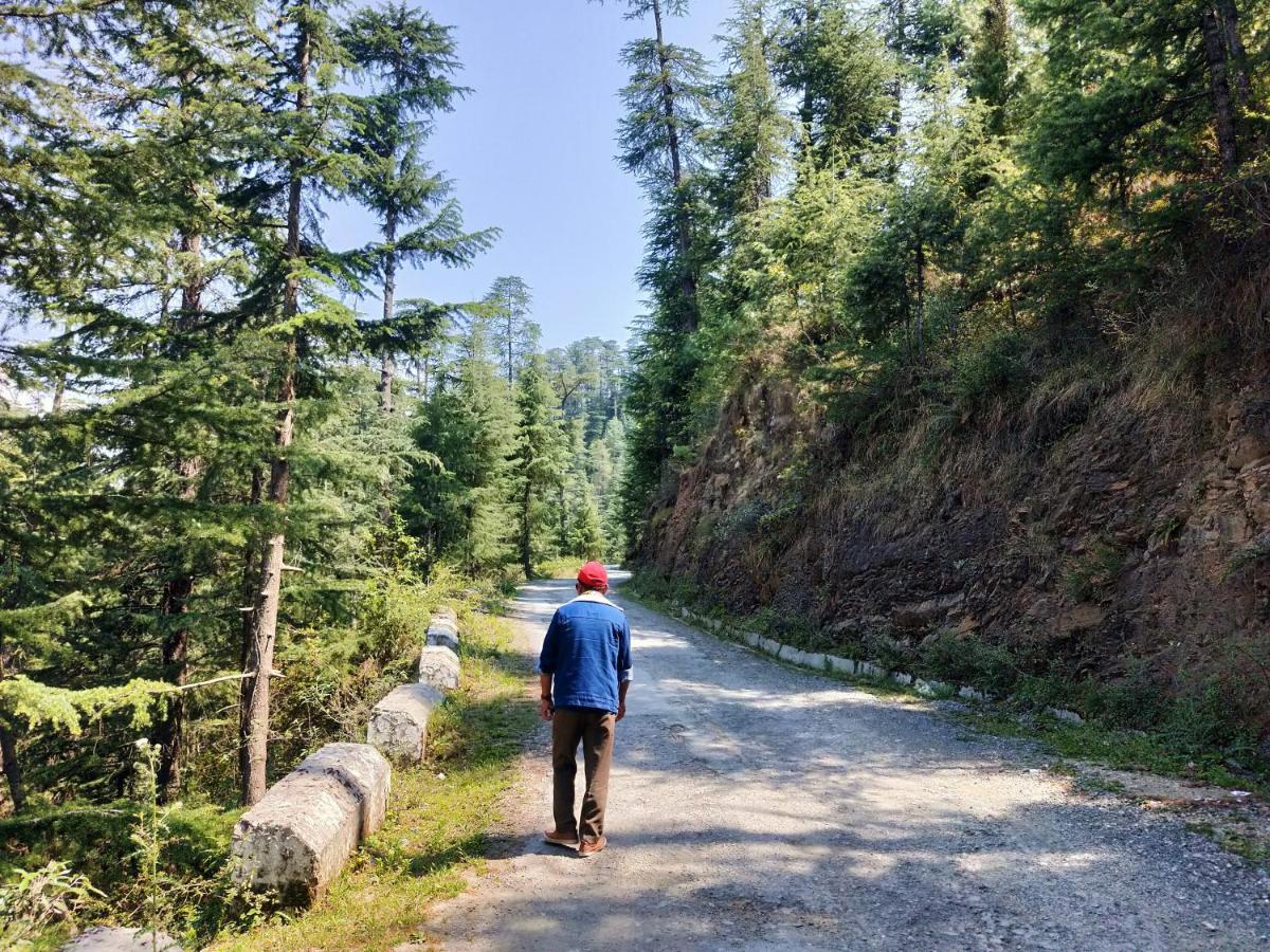 Neha Homestay Shimla Zewnętrze zdjęcie