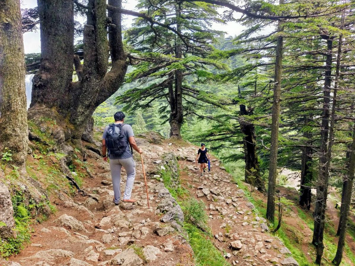 Neha Homestay Shimla Zewnętrze zdjęcie