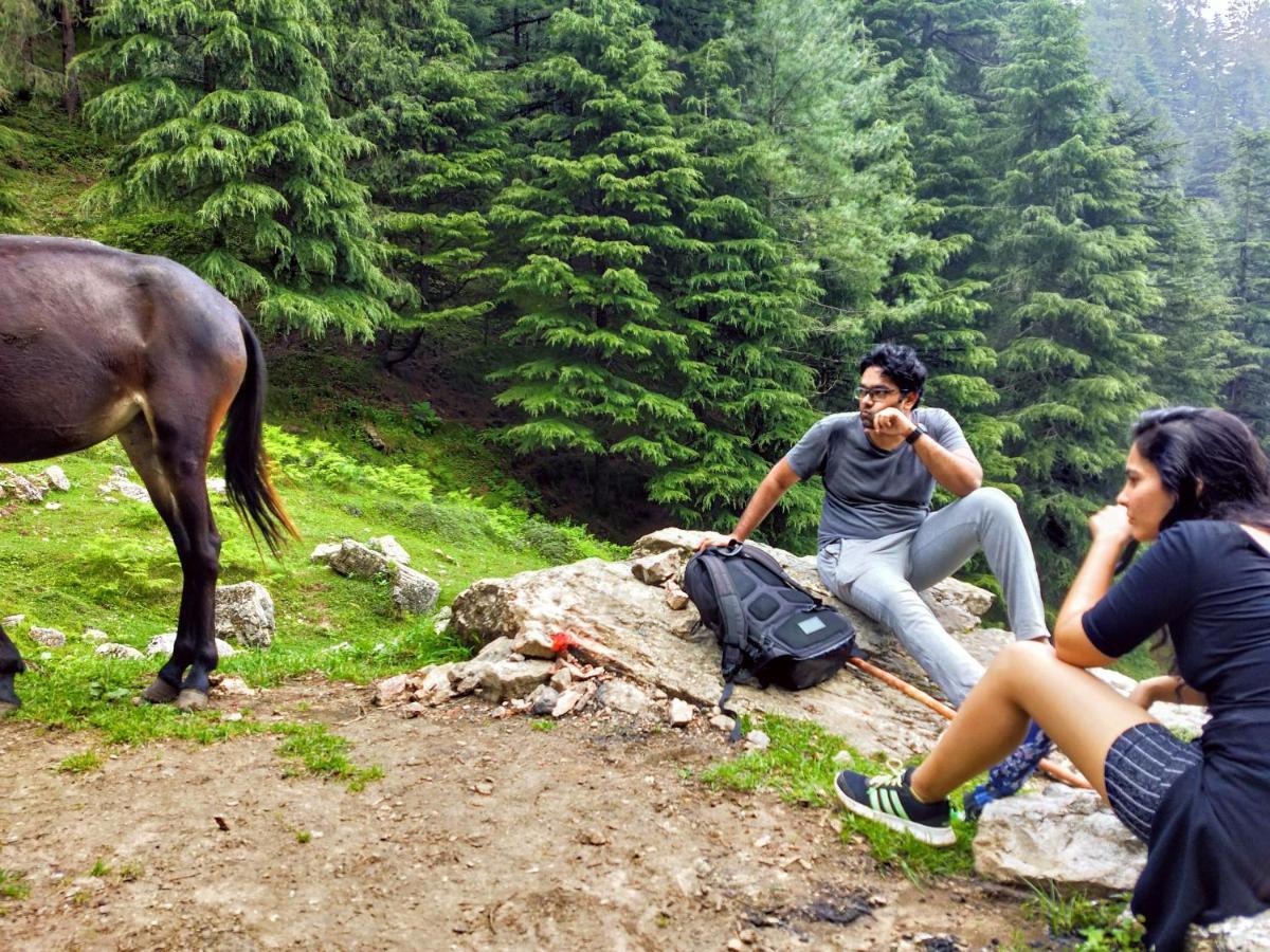 Neha Homestay Shimla Zewnętrze zdjęcie