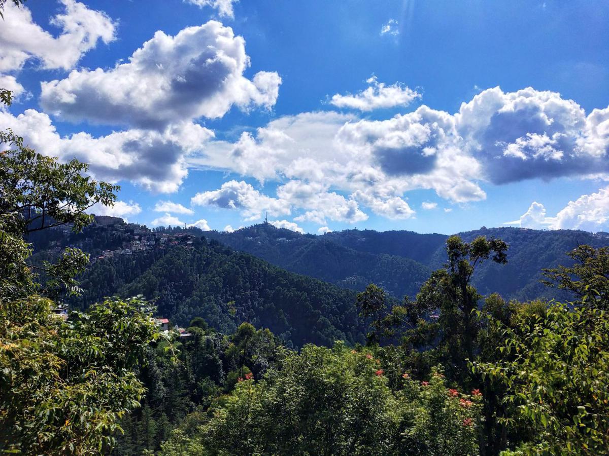 Neha Homestay Shimla Zewnętrze zdjęcie