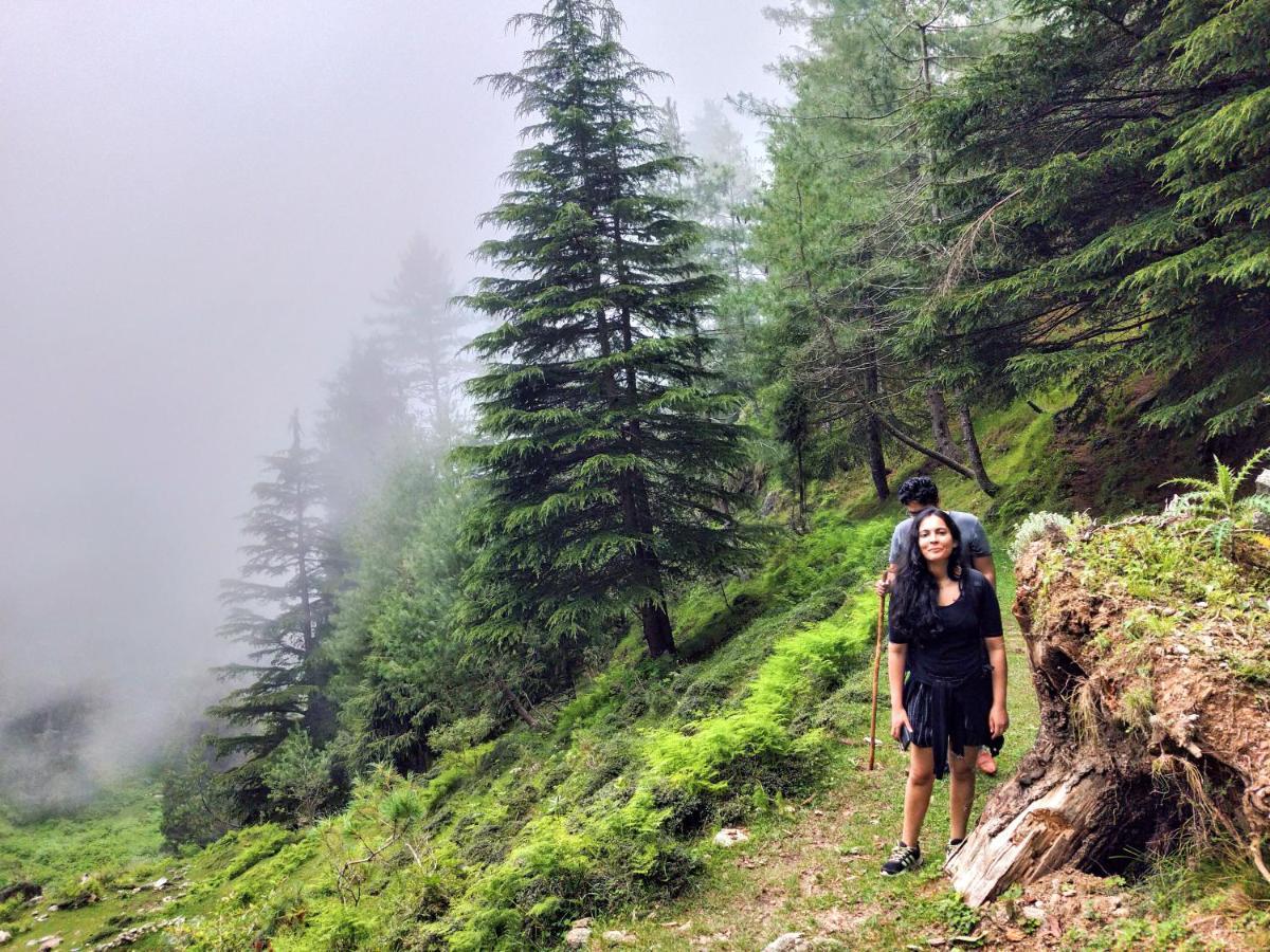 Neha Homestay Shimla Zewnętrze zdjęcie