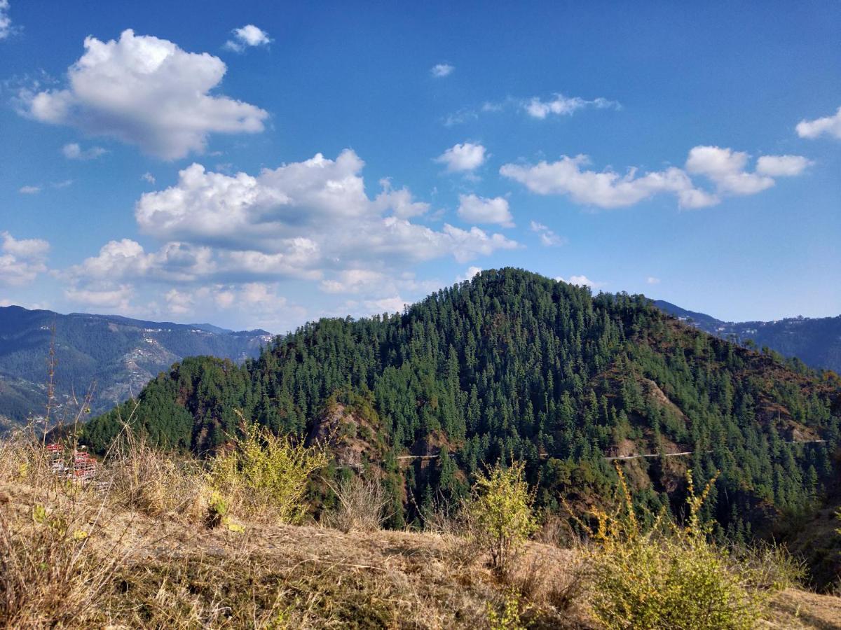 Neha Homestay Shimla Zewnętrze zdjęcie
