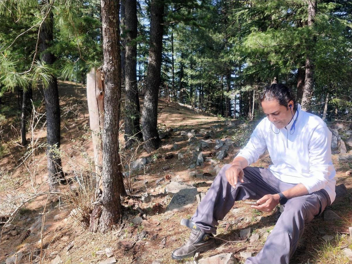 Neha Homestay Shimla Zewnętrze zdjęcie