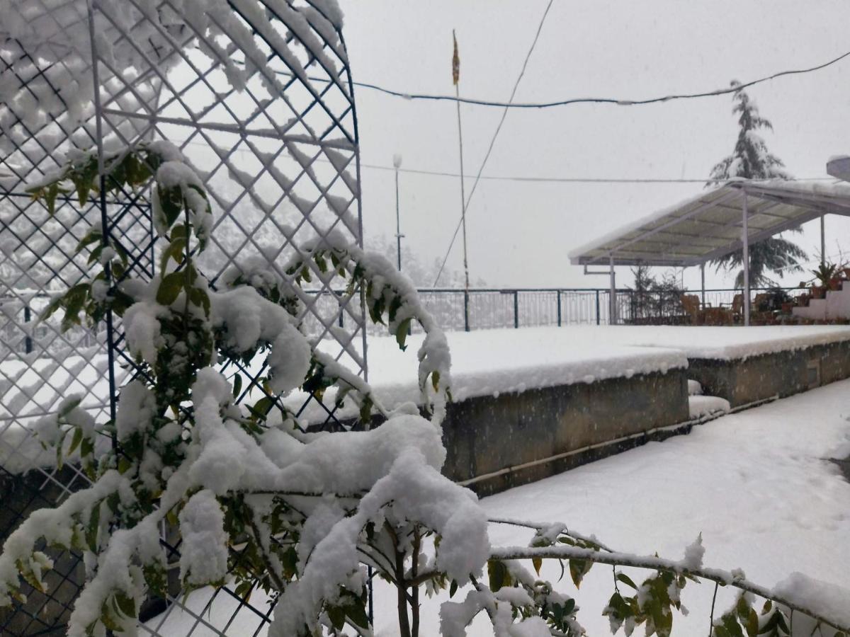 Neha Homestay Shimla Zewnętrze zdjęcie