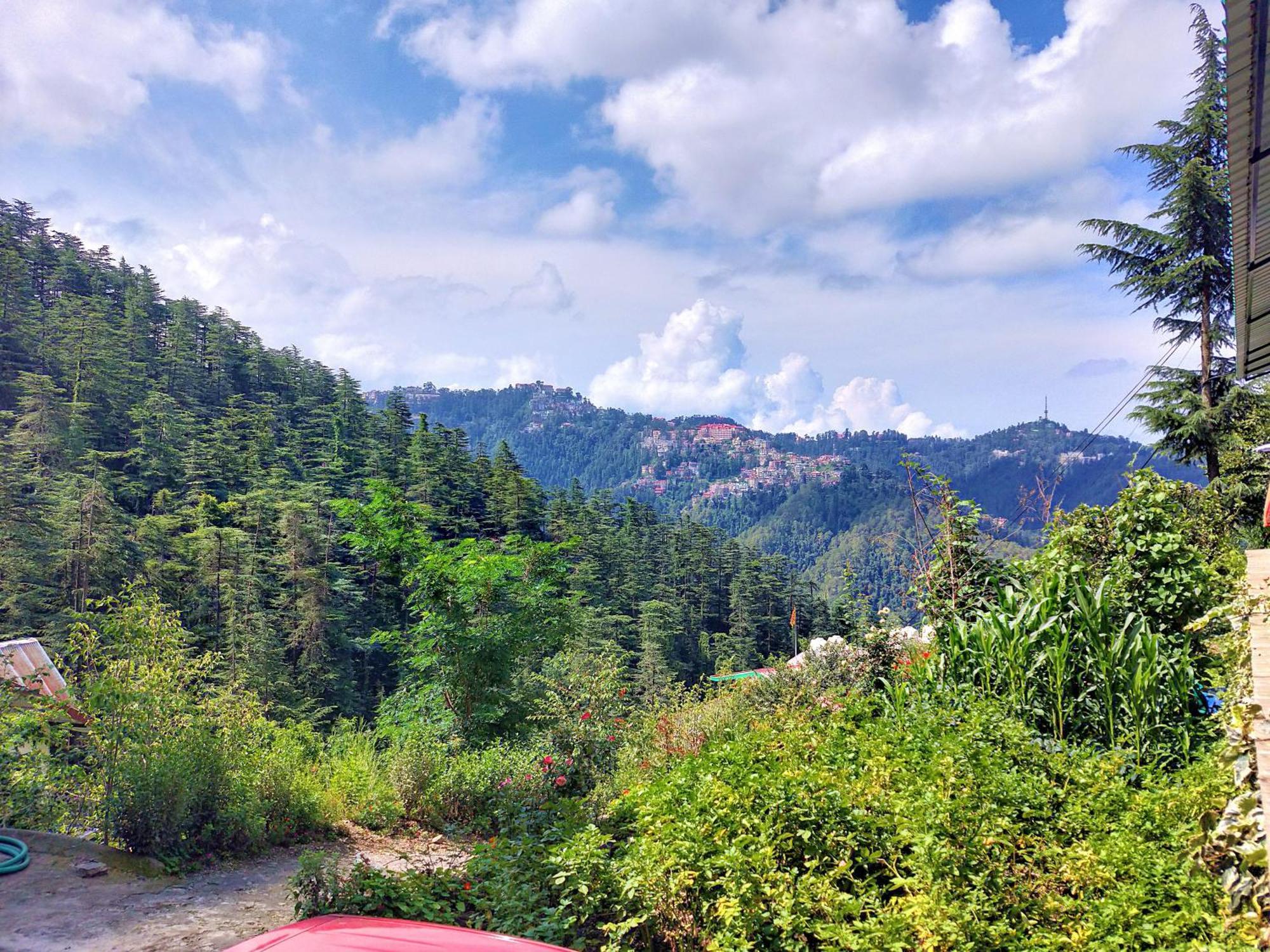 Neha Homestay Shimla Zewnętrze zdjęcie
