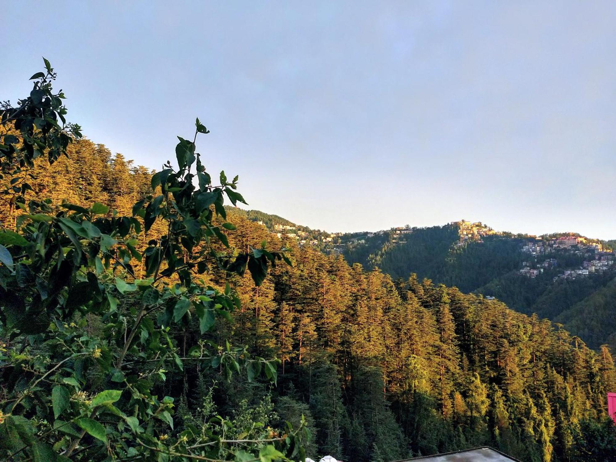 Neha Homestay Shimla Zewnętrze zdjęcie