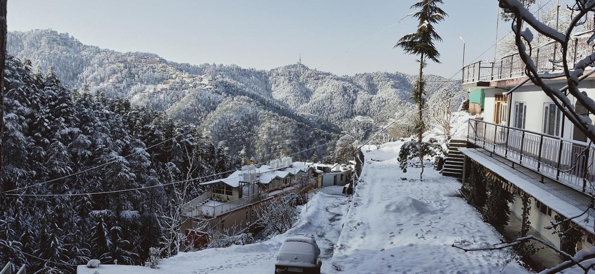 Neha Homestay Shimla Zewnętrze zdjęcie